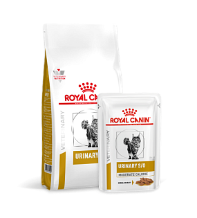 Ветеринарные диеты для кошек